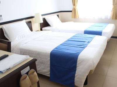 Ibis Budget Riverside 3*